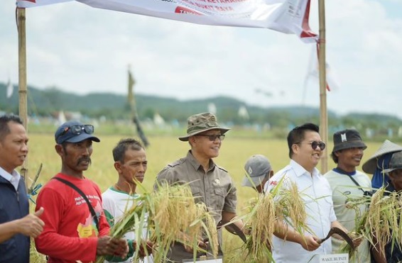 Peran Petani dalam Kesejahteraan Bangsa