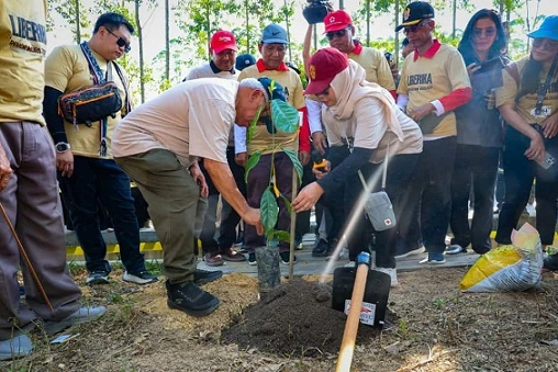 1.010 Pohon Kopi Liberika Ditanam Bersama 1.486 Peserta di IKN