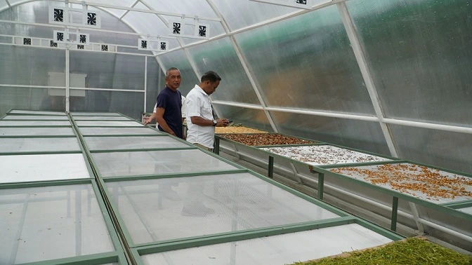 Smart Dryer System, Inovasi Cerdas yang Angkat Ekonomi Petani Samboja 