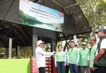Ekowisata Tambaksari Naik Kelas, 15.000 Mangrove dan Rumah Bibit Perkuat Konservasi Ekowisata Tambaksari Naik Kelas, 15.000 Mangrove dan Rumah Bibit Perkuat Konservasi