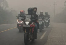 Kabut Asap Bikin Jarak Pandang Menurun, 9 Tips Ini Wajib Diketahui Kabut Asap Bikin Jarak Pandang Menurun, 9 Tips Ini Wajib Diketahui. Kabut asap Samarinda